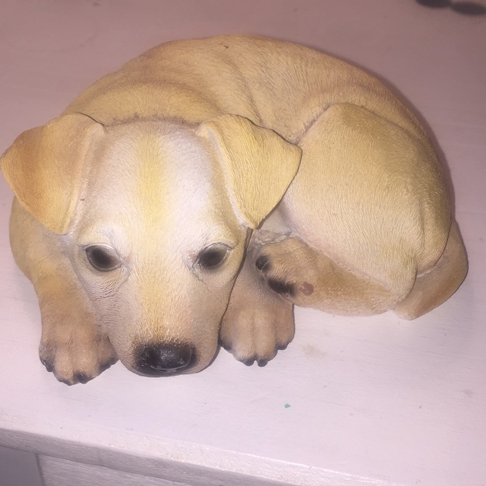 Dog decoration